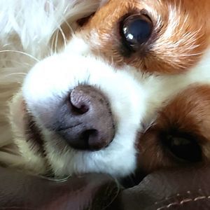 Meet your Posher, Sherry